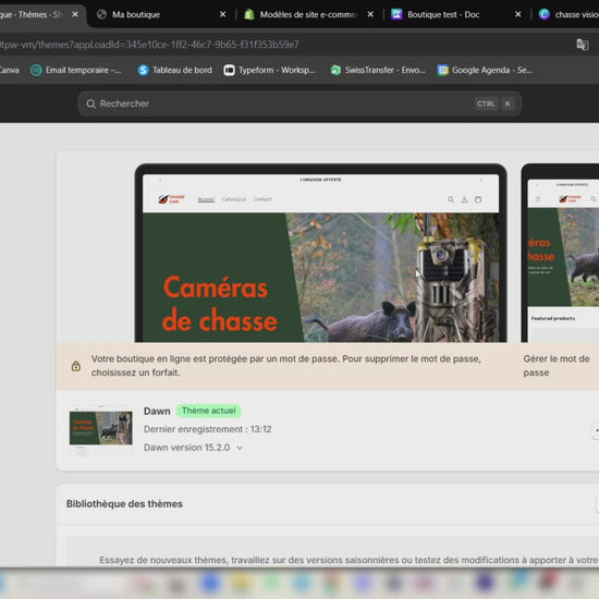 shopify website