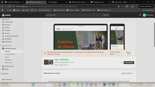 shopify website